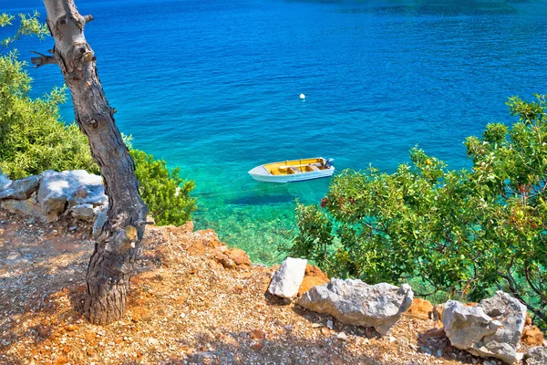 Idylliczne sosnowego drzewa plaży w Chorwacji — Zdjęcie stockowe