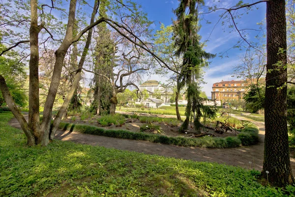 Ogród botaniczny w Zagrzebiu flora widok — Zdjęcie stockowe