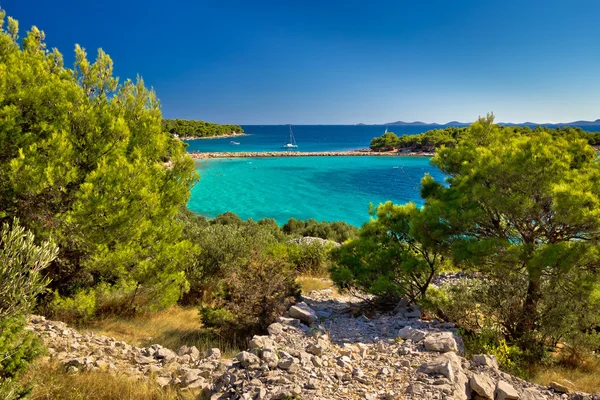 Wunderschöner smaragdgrüner Strand auf Murter Island — Stockfoto