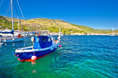 Renkli deniz Vis Adası