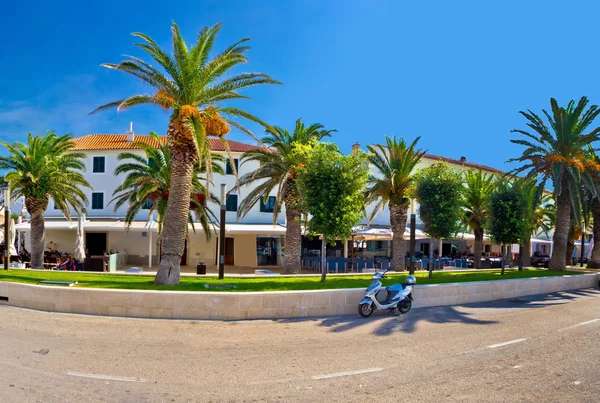 Novalja sur Pag île de palme vue sur le front de mer — Photo