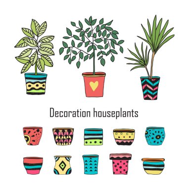 Renkli ev bitkileri ve beyaz arka planda boş tencereler.