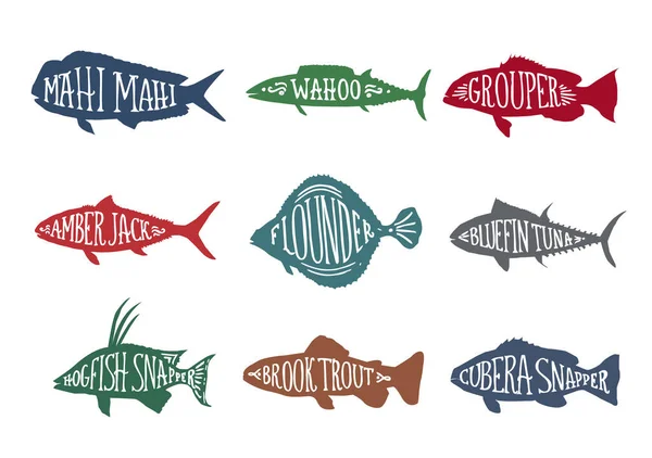 Σύνολο Απομονωμένων Πολύχρωμων Ψαριών Ζωγραφισμένα Στο Χέρι Ονόματα Νωπά Υδρόβια — Διανυσματικό Αρχείο