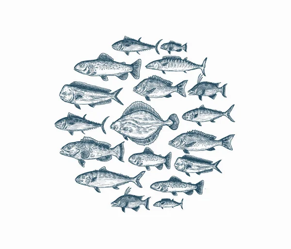 Beyaz Arka Planda Izole Edilmiş Mavi Çizilmiş Balık Kümesi — Stok Vektör