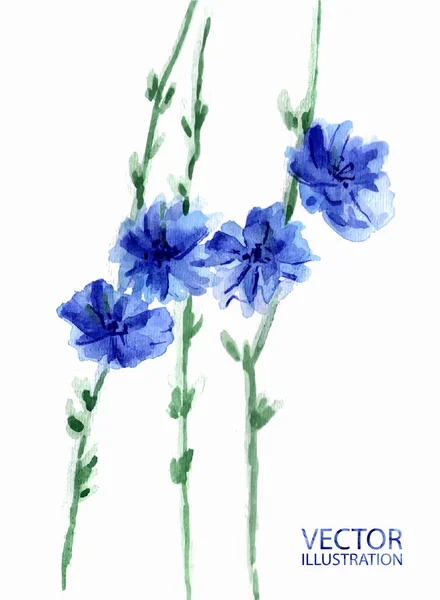 Mooie Blauwe Bloemen Met Blad Geïsoleerd Witte Achtergrond — Stockvector