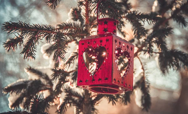 Kırmızı Noel feneri karla kaplı bir Noel ağacında asılı.