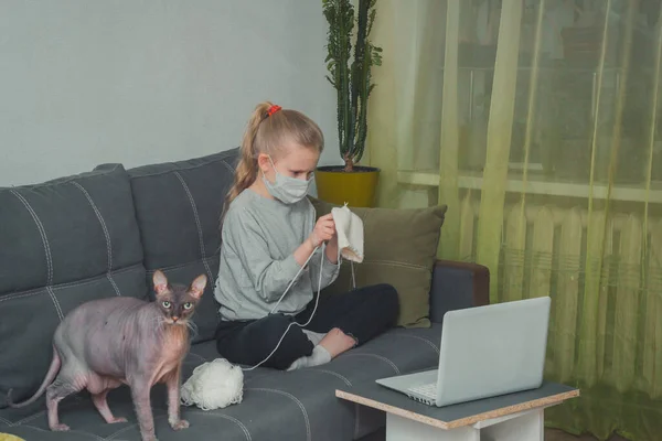 Kız ve kedisi örgü örmeyi, dizüstü bilgisayarda video izlemeyi öğreniyor.