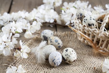 Bıldırcın yumurtası, çiçek ve kuş tüyü