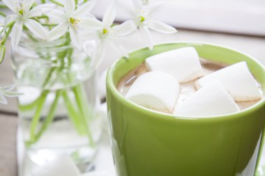 Sıcak kakao marshmallows yeşil Kupası ile