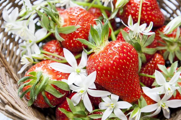 Fresh Strawberries in wicker basket — Stock Photo, Image