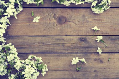 Çiçekli dal kiraz çiçeği ahşap yüzey üzerinde