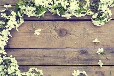 Çiçekli dal kiraz çiçeği ahşap yüzey üzerinde