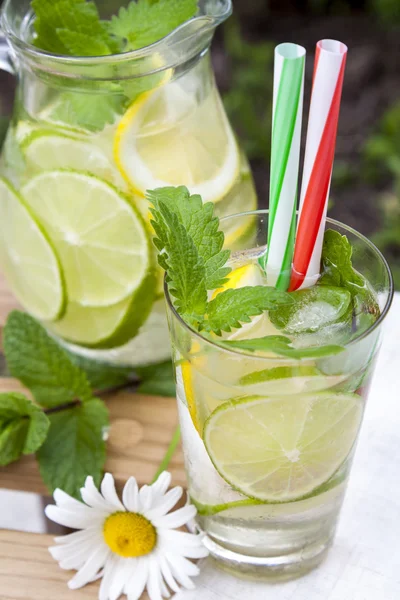 soğuk taze limonata ile limon, limon ve nane