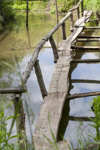 Vecchio ponte di legno sul lago ricoperto di erba — Foto Stock