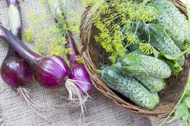 Hasır sepet dereotu ve soğan ile taze salatalık