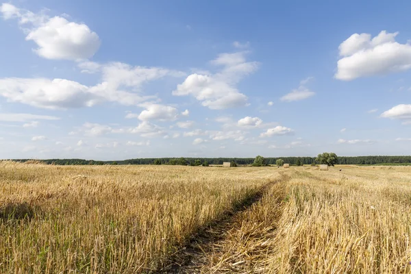 Strohballen auf Feldern Ackerland mit blauem bewölkten Himmel — Stockfoto