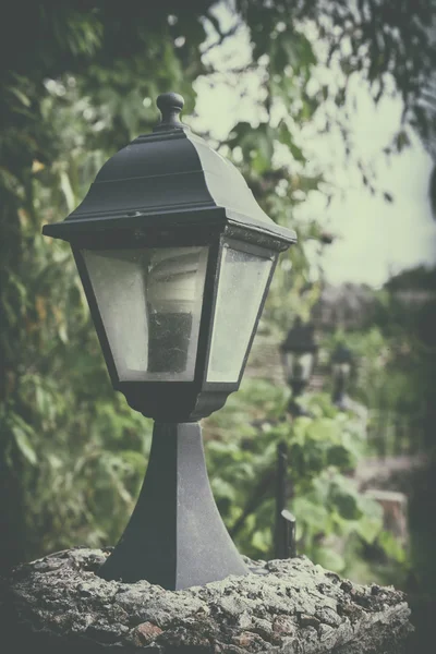 Lanternă veche de lampă de epocă cu frunze verzi. Colorarea și prelucrarea fotografiilor în imitarea filmului clasic de camere . — Fotografie, imagine de stoc