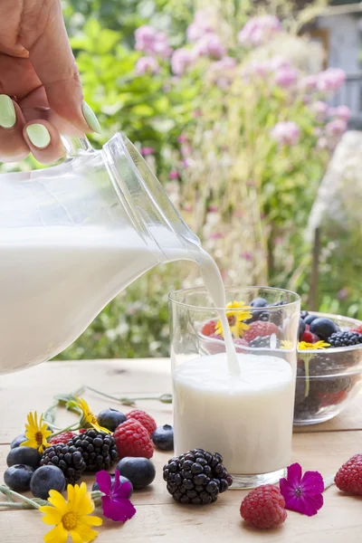 Ρίχνει το γάλα στο ποτήρι στο τραπέζι με τα μούρα το καλοκαίρι — Φωτογραφία Αρχείου