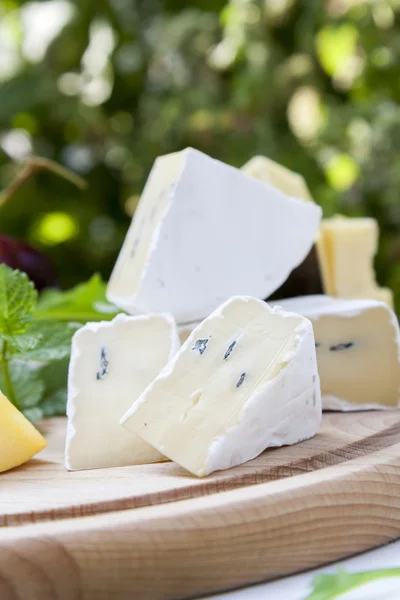 Verschiedene köstliche Käsesorten und Früchte auf Rundholzbrett — Stockfoto