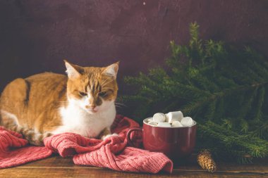 Noel tatili kompozisyonu, marşmelovlu kahve ve siyah ahşap arka plan masasında kırmızı beyaz kedi. Pandemik bir konsept sırasında evde kutlama.