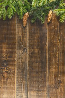 Yeşil köknar dalları ve konileri ile Noel veya Yeni Yıl arka planı