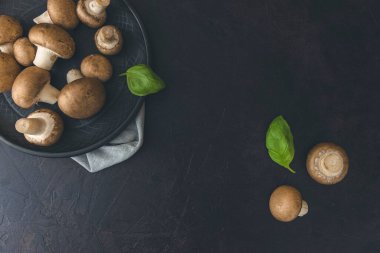 Siyah arka planda çiğ mantar şampiyonları taze şampiyonlar pişiriyor.