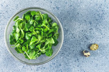 Açık gri masa yüzeyinde metal elek içinde taze kuzular, marul ya da mısır salatası yaprakları. Üst görünüm, alanı kopyala
