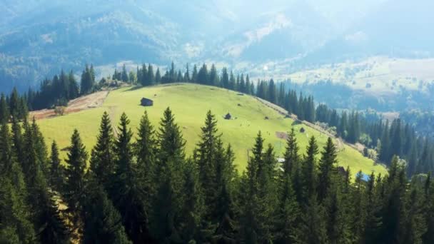 Vue Aérienne Depuis Drone Vue Aérienne Imprenable Sur Les Carpates — Video