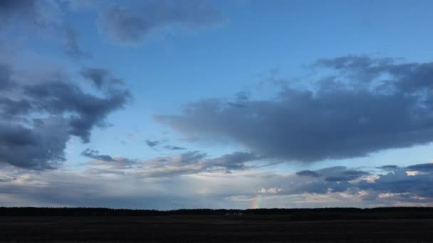 Abgeschrägtes Feld Sommer Unter Dramatischem Bewölkten Himmel Mit Regenbogen Bei — Stockvideo