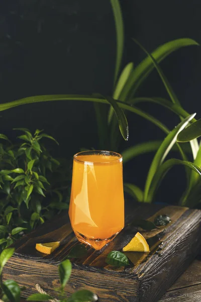 Citrus cocktail, orange juice, summer orange lemonade in highball glass surrounded decor in dark fresh tropic style, backlight, close up, shallow depth of the field.