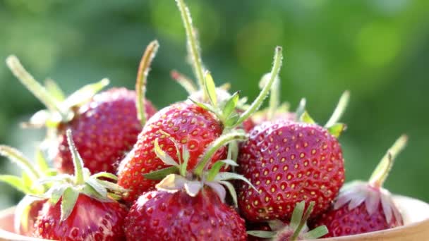 Rauwe Verse Echte Biologische Aardbeien Draaien Een Cirkel Achtergrond Van — Stockvideo