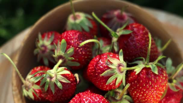 Raw Fresh Real Organic Strawberries Wooden Plate Garden Background Sunny — Stock Video