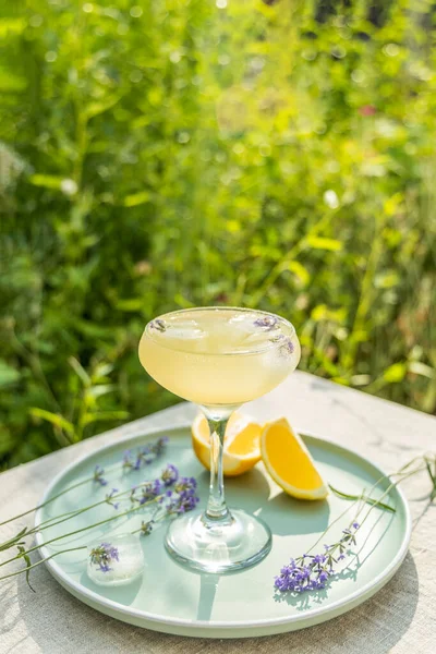 Pompadour Verre Limonade Lavande Avec Cube Glace Aux Fleurs Lavande — Photo