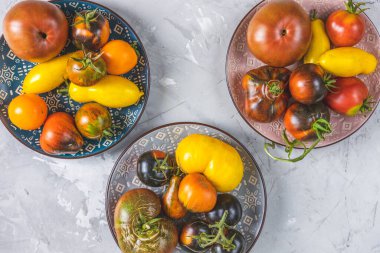 Açık gri beton yüzeyde seramik tabaklarda renkli çiğ domatesler. Yeşil ev yaşam tarzı kavramı ve geçimlik tarım ürünleri, düz döşeme, metin alanı