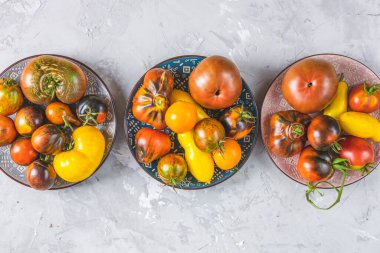 Açık gri beton yüzeyde seramik tabaklarda renkli çiğ domatesler. Yeşil ev yaşam tarzı kavramı ve geçimlik tarım ürünleri, düz döşeme, metin alanı
