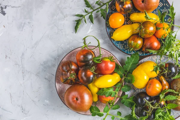 Colorful Raw Tomatoes Ceramic Plates Light Gray Concrete Surface Concept — Stock Photo, Image