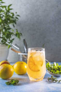 Greyfurt cin tonik kokteyli, buzlu içecek. Soğuk yaz turunçgilleri ferahlatıcı içecek kokteyl ya da buzlu içecek, nane ve mavi beton yüzeyde kekik..