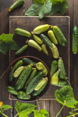 Çiğ yeşil ve beyaz salatalıklar seramik tabaklarda koyu ahşap arka planda. Sera yaşam tarzı kavramı ve geçimlik tarım ürünleri, düz konum, üst görünüm.