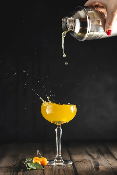 Жінка Наливає Сливовий Джин Тонізуючий Коктейль Шейкера Склянку Шампанського Бризкою — стокове фото
