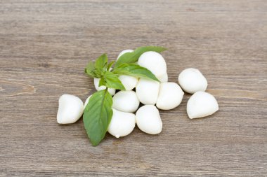 Mini mozzarella balls with green basil leaves, horizontal shot, selective focus