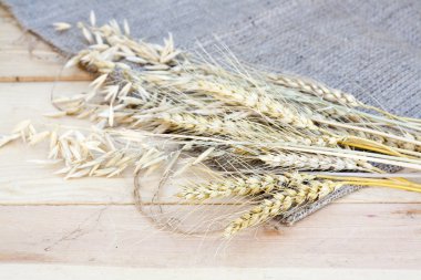 Buğday ve yulaf ahşap arka plan üzerinde demet