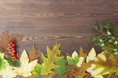 Autumn leaves yellowed wooden background close up, selective focus
