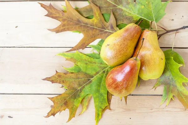 Red pears and autumn yellow maple leaves on a wooden table, close up, selective focus — Stockfoto