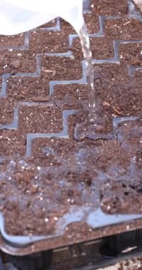 Sulama kabından akan tatlı su, tohum ekme ve gelecekte bir bahçe ya da serada büyümek için zemin hazırlayan, bir yayılma tepsisi içinde zengin toprağa dökülüyor.