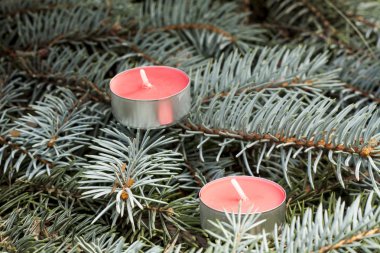 Christmas and New Year's candle on the background spruce, close-up