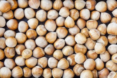 Fındık, fındık arka plan olarak. Sağlıklı vejetaryen fındık gıda kahverengi fındık beslenme.