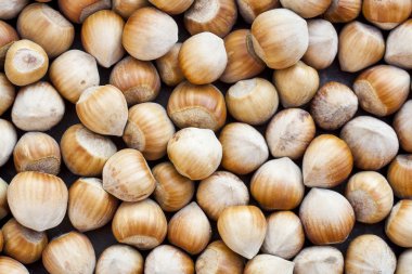 Fındık, fındık arka plan olarak. Sağlıklı vejetaryen fındık gıda kahverengi fındık beslenme.