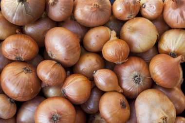 soğan ham meyve ve sebze arka planlar genel gider bakış açısı