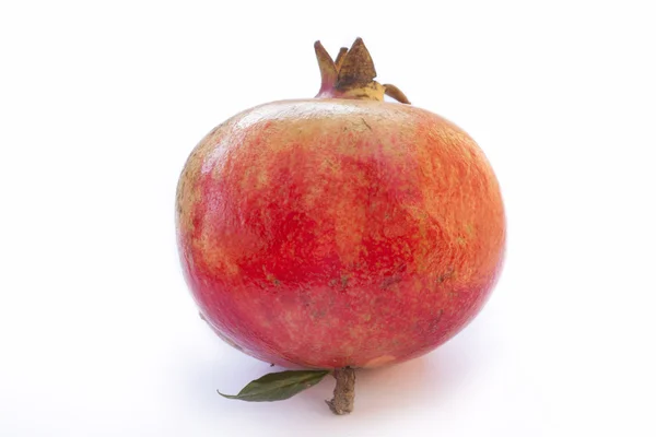 Single Pomegranate Isolated On White, closeup, selective focus — Stock Photo, Image