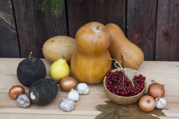 Autumn still life with pumpkins and autumn berry and vegetables on old wooden background, closeup, selective focus